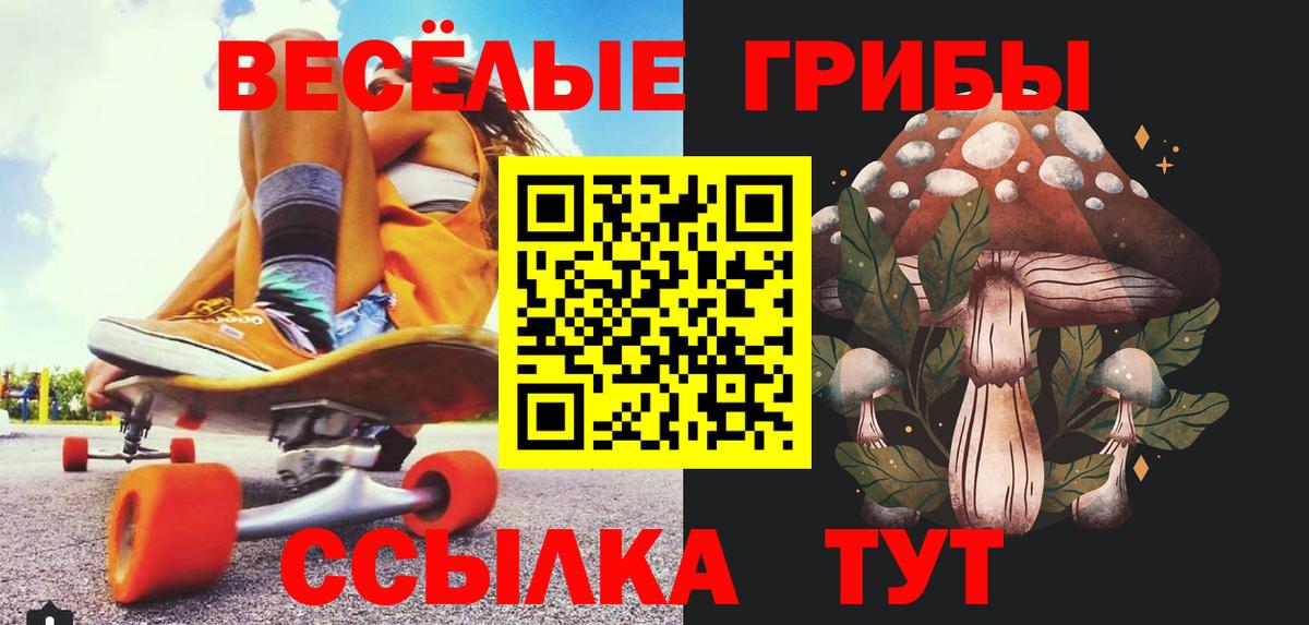 Галлюциногенные грибы Psilocybine cubensis Фрязино