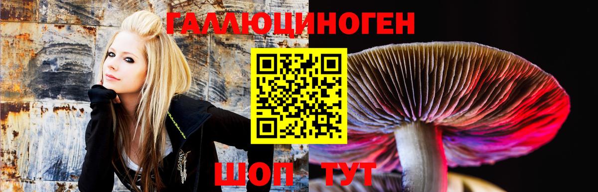 Псилоцибиновые грибы ЛСД  Псилоцибиновые грибы MAGIC MUSHROOMS  Фрязино  как найти закладки  Вход с VPN 